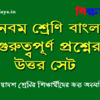 class-nine-bengali-question-answer-set